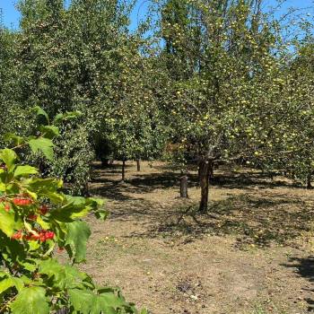 Продается Участок, 620 м²