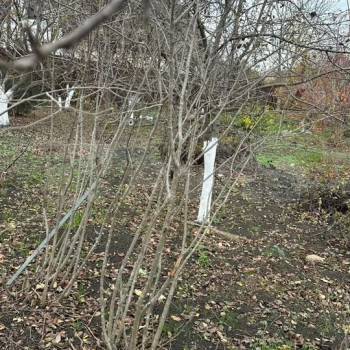 Продается Участок, 800 м²