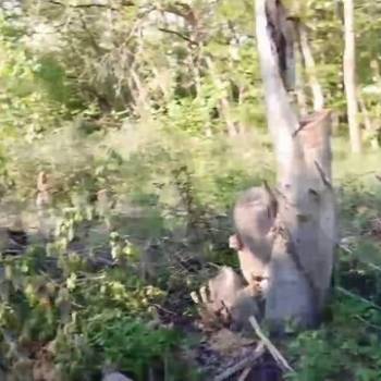 Продается Участок, 1300 м²