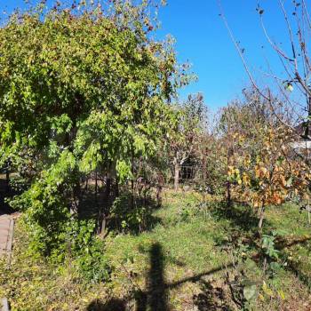 Продается Дом, 26 м²