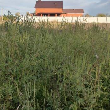 Продается Участок, 800 м²