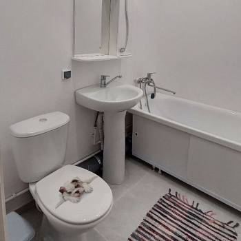 Сдается 1-комнатная квартира, 43,3 м²