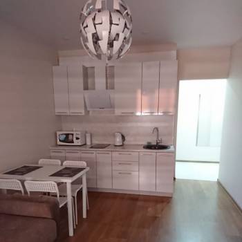 Продается 1-комнатная квартира, 24,2 м²