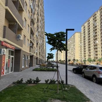 Сдается Нежилое помещение, 44 м²