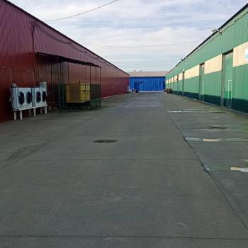 Сдается Нежилое помещение, 288 м²