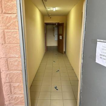 Сдается Офис, 20 м²