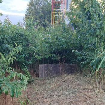 Продается Участок, 400 м²