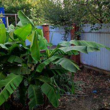 Продается Дом, 124 м²