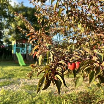 Продается Участок, 5500 м²