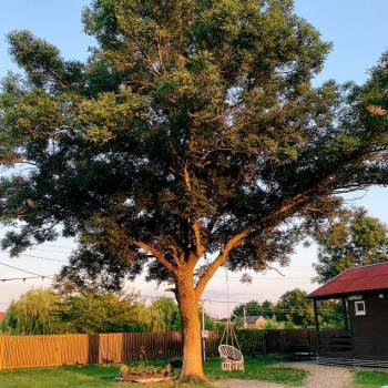 Продается Участок, 5500 м²