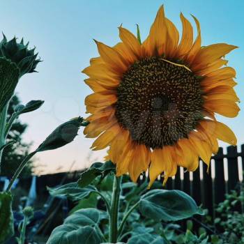 Продается Участок, 5500 м²