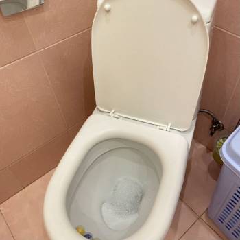 Сдается Дом, 20 м²