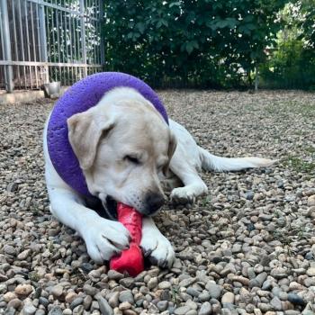 Продается Дом, 50 м²