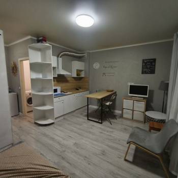 Сдается 1-комнатная квартира, 24 м²