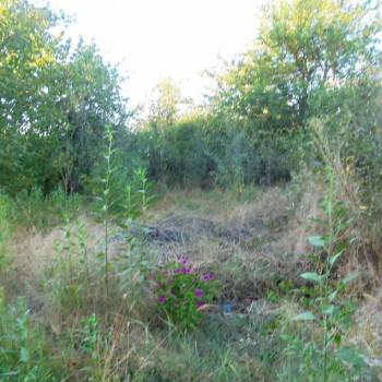 Продается Участок, 420 м²