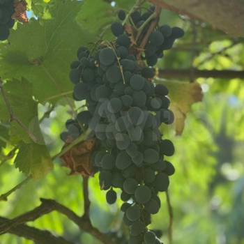 Продается 1-комнатная квартира, 36 м²