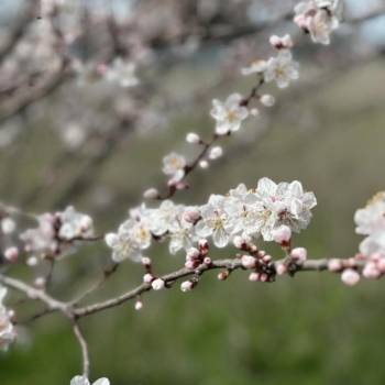 Продается Участок, 800 м²