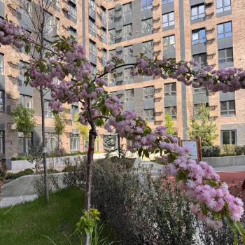 Продается 1-комнатная квартира, 33,7 м²