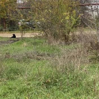 Продается Участок, 480 м²