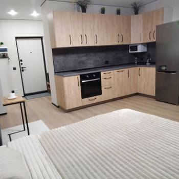 Сдается 1-комнатная квартира, 29,9 м²