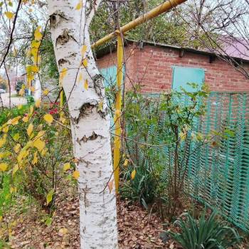 Продается Дом, 64 м²