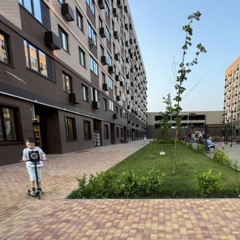 Сдается Нежилое помещение, 51,5 м²