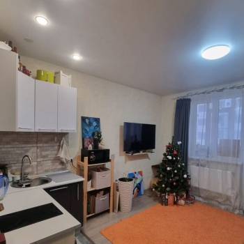 Сдается 1-комнатная квартира, 24,3 м²