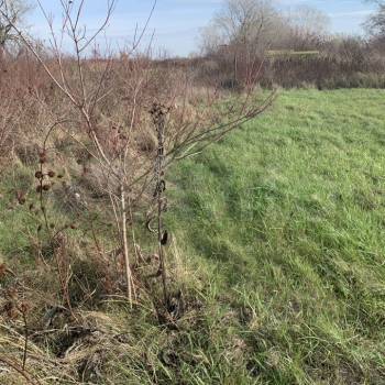 Продается Участок, 1000 м²