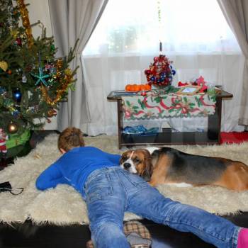 Продается Дом, 85 м²