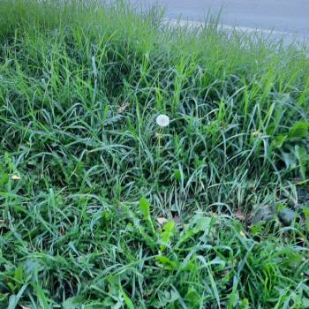 Продается 3-х комнатная квартира, 73 м²