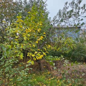 Продается Участок, 600 м²