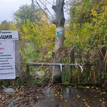 Продается Участок, 600 м²