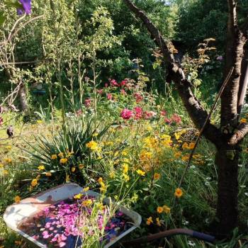 Продается Участок, 400 м²