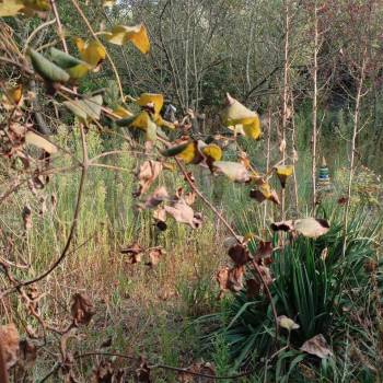 Продается Участок, 400 м²