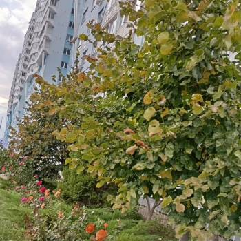 Продается 1-комнатная квартира, 31 м²