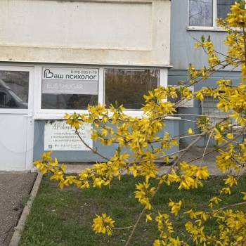 Сдается Нежилое помещение, 20 м²