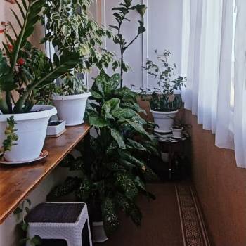 Продается 2-х комнатная квартира, 64 м²