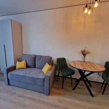 Сдается 1-комнатная квартира, 30,1 м²