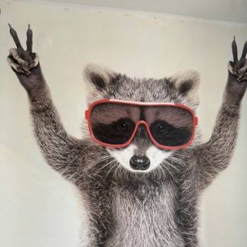 Продается 1-комнатная квартира, 24,3 м²