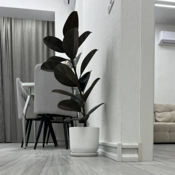 Сдается 2-х комнатная квартира, 52 м²