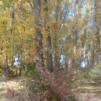 Продается Дом, 90 м²