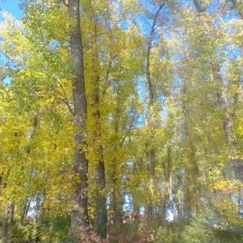 Продается Дом, 90 м²