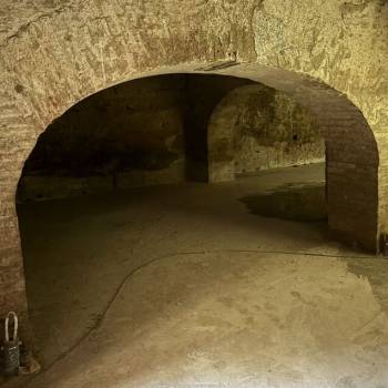 Сдается Нежилое помещение, 170 м²