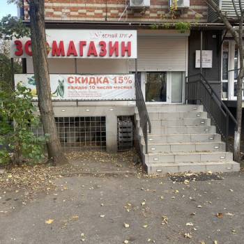 Сдается Нежилое помещение, 41 м²