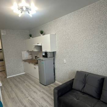 Сдается 1-комнатная квартира, 26,4 м²