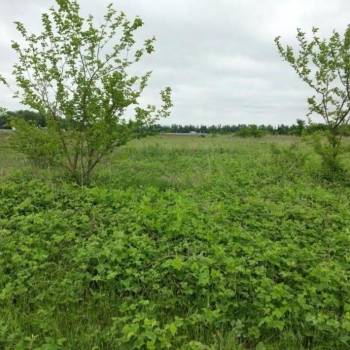 Продается Участок, 1000 м²