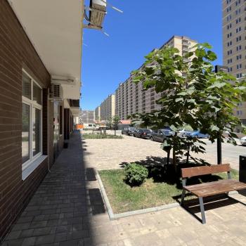 Сдается Нежилое помещение, 46,1 м²