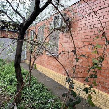 Сдается Дом, 60 м²