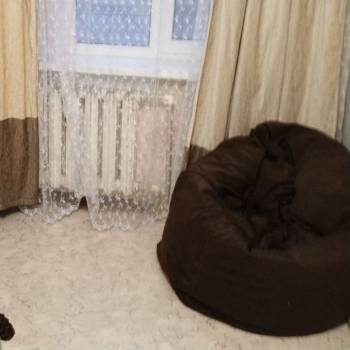 Сдается 2-х комнатная квартира, 43 м²