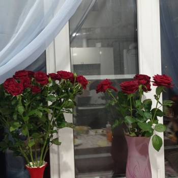 Продается Дом, 145 м²